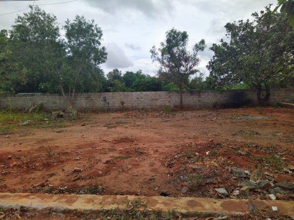 land for sale in Erulapappuram 1