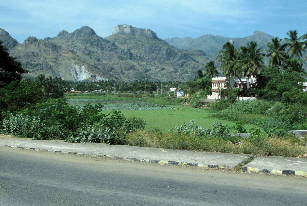 Land For Sale In Alamparai, Parvathipuram