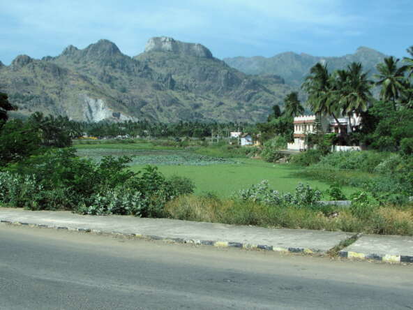 Land For Sale In Alamparai, Parvathipuram