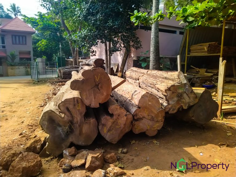 Teak Wood And Jack Wood For Sale Ngl Property