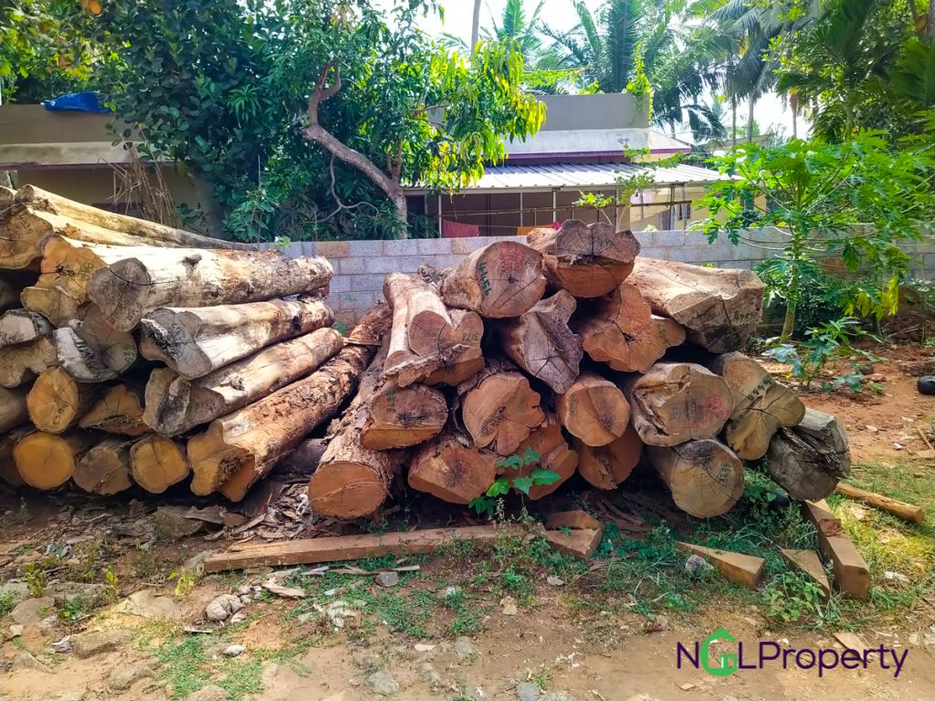 Teak Wood And Jack Wood For Sale Ngl Property