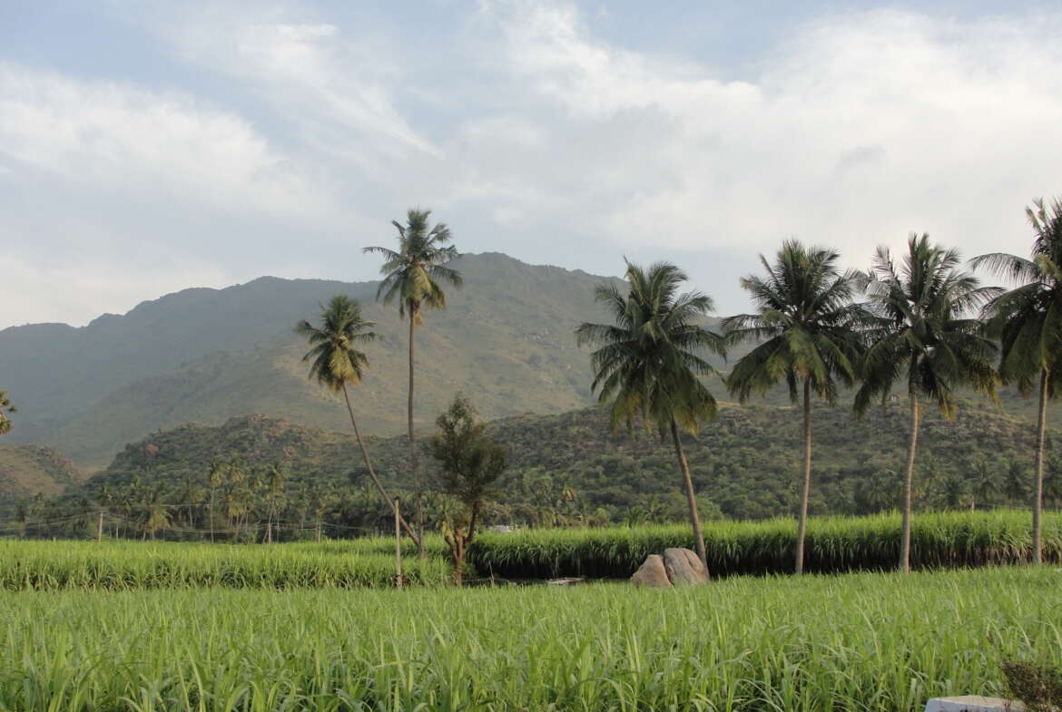 Land for sale in nagercoil, Parvathipuram