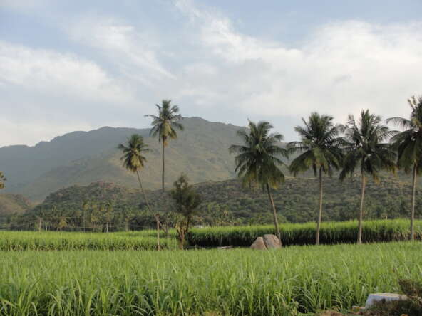 Land for sale in nagercoil, Parvathipuram