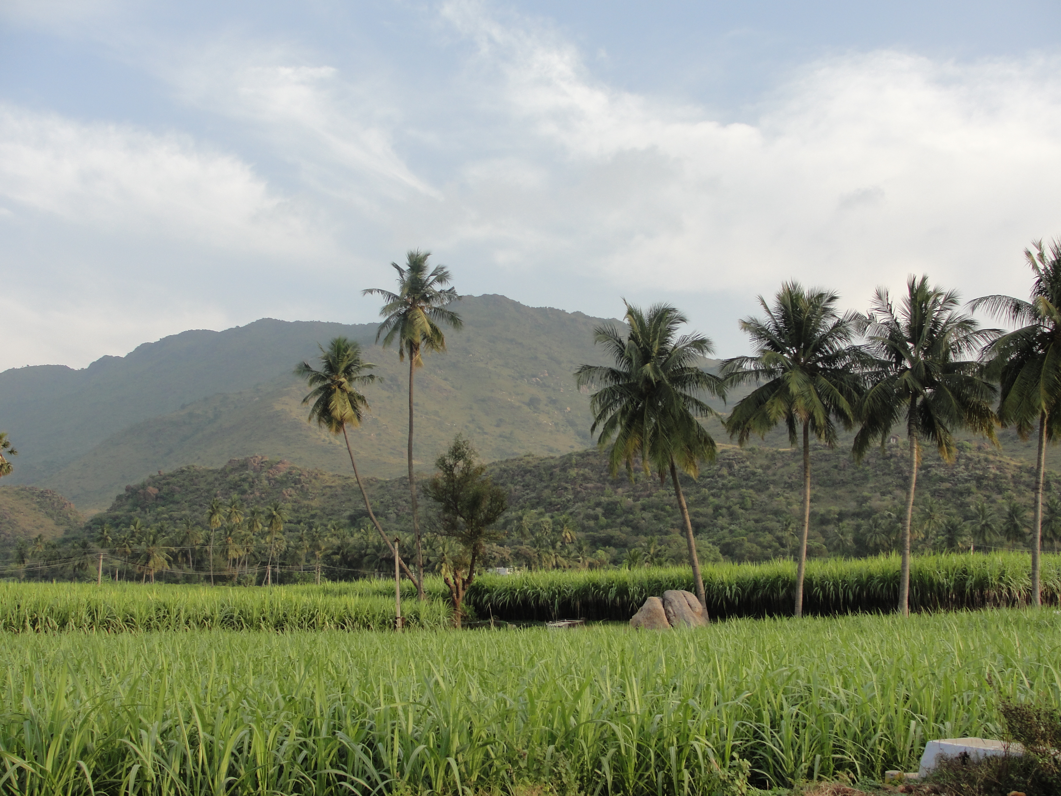 Land for sale in Vetturnimadam, Nagercoil