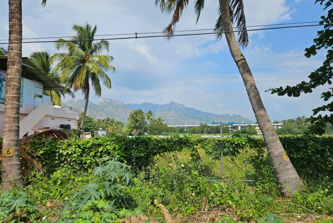 Land For Sale In Parvathipuram, Nagercoil House For Sale In Nagercoil