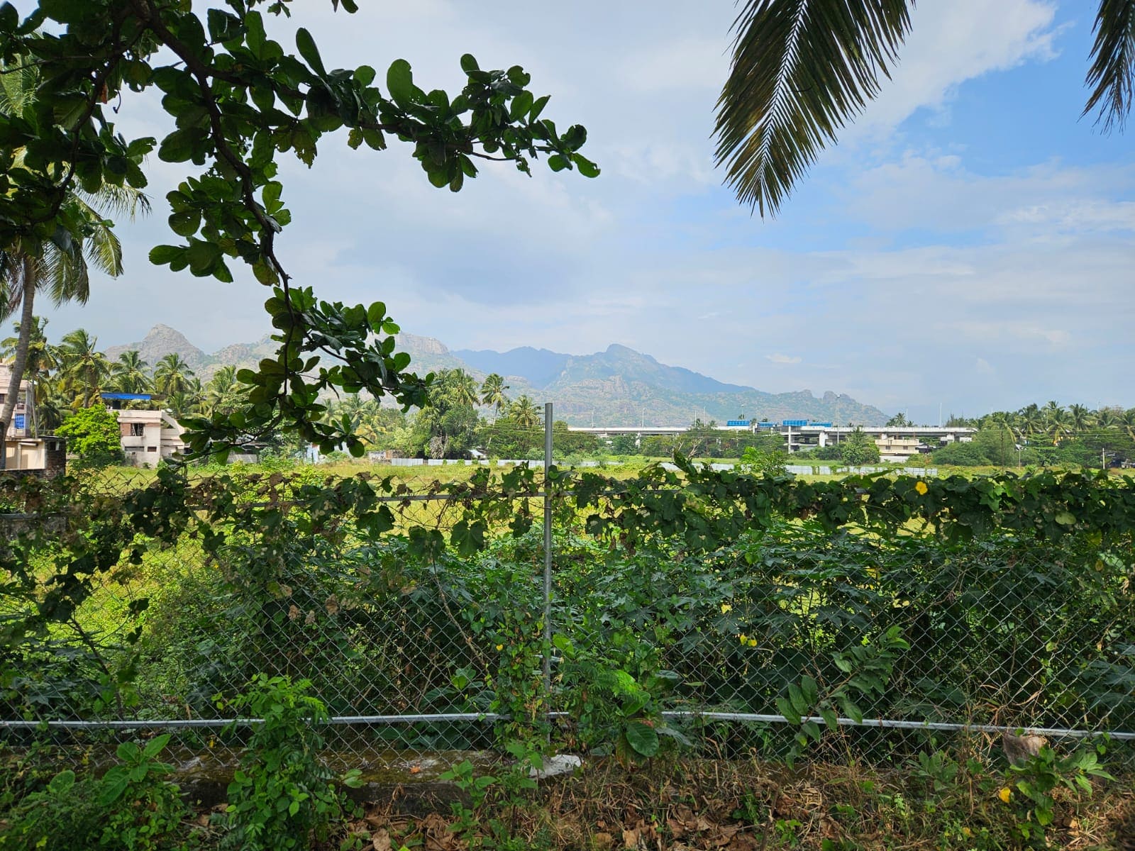 Land For Sale In Parvathipuram, Nagercoil House & DTCP Approved Plots