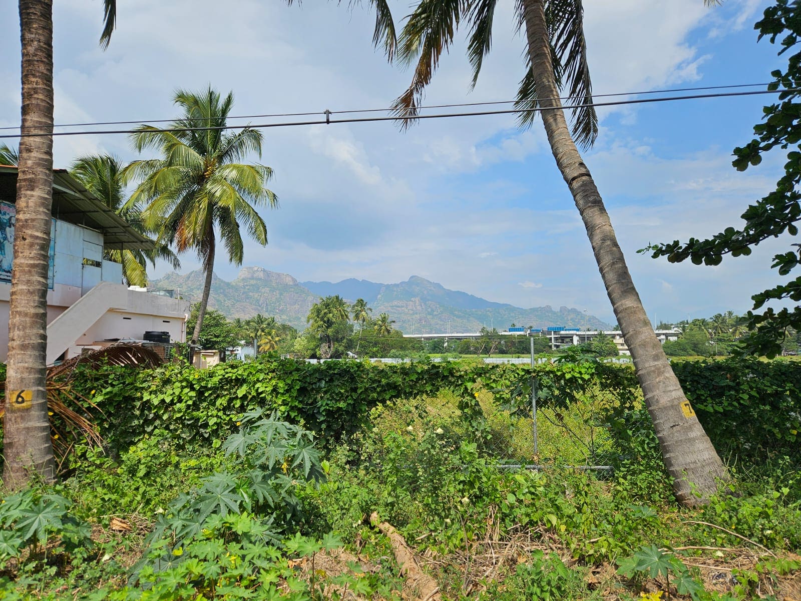 Land for sale in Parvathipuram