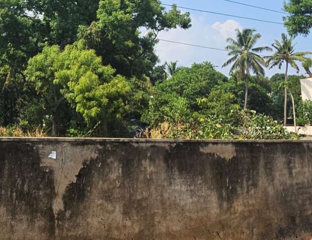 Land for sale near Palpannai