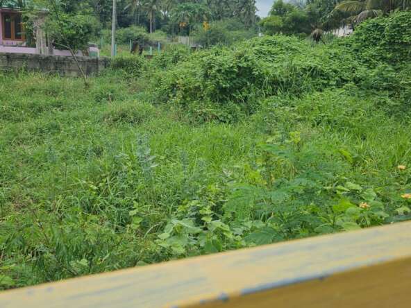 Land For Sale In Alamparai, Parvathipuram