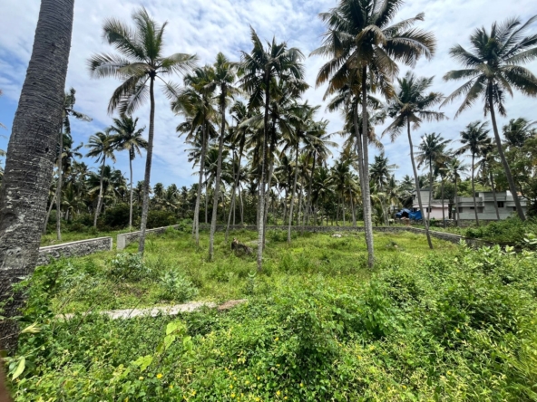 Land for sale in Kurunthancode