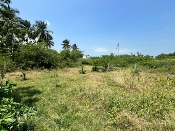 land for sale in vellamadam